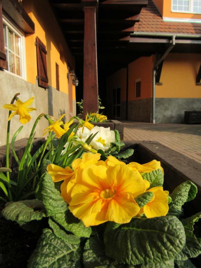 Maison D'Hotes La Ferme Pierre*** Donnenheim Ngoại thất bức ảnh